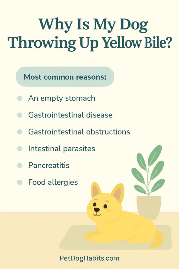 “An infographic from PetDogHabits.com titled ‘Why Is My Dog Throwing Up Yellow Bile,’ showing a flat-style dog illustration and a bowl, explaining that yellow vomit often indicates an empty stomach.”