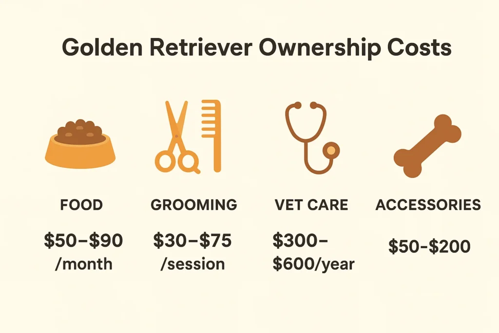 "Golden Retriever care essentials infographic showing grooming, exercise, training, and nutrition tips for maintaining a healthy and happy Golden Retriever."