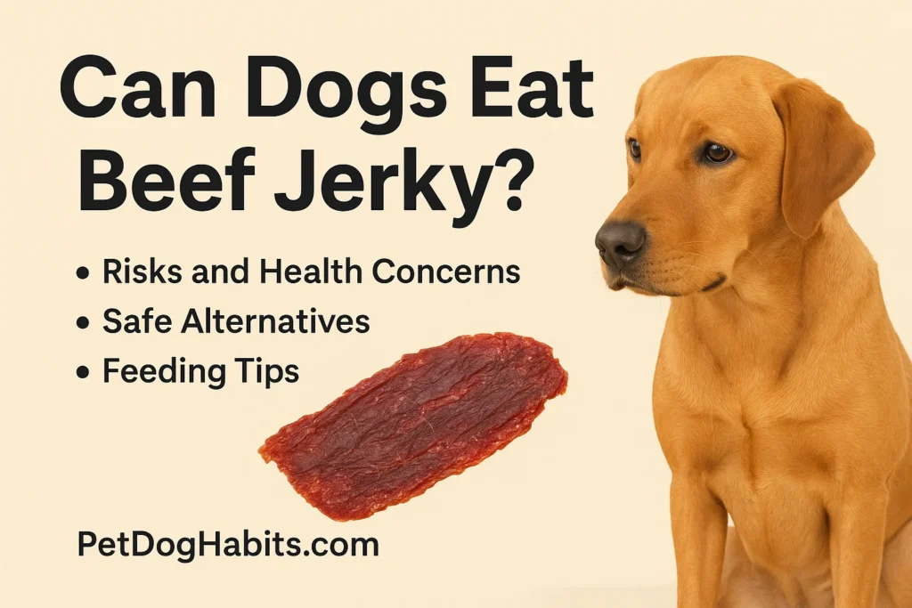 Dog sniffing beef jerky treats on a wooden table – can dogs safely eat beef jerky?