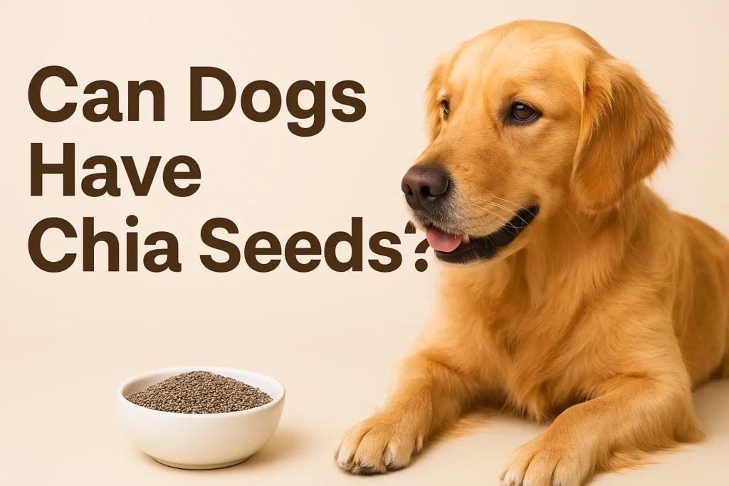 A happy dog eating from a bowl with chia seeds, illustrating the topic “Can dogs have chia seeds.”