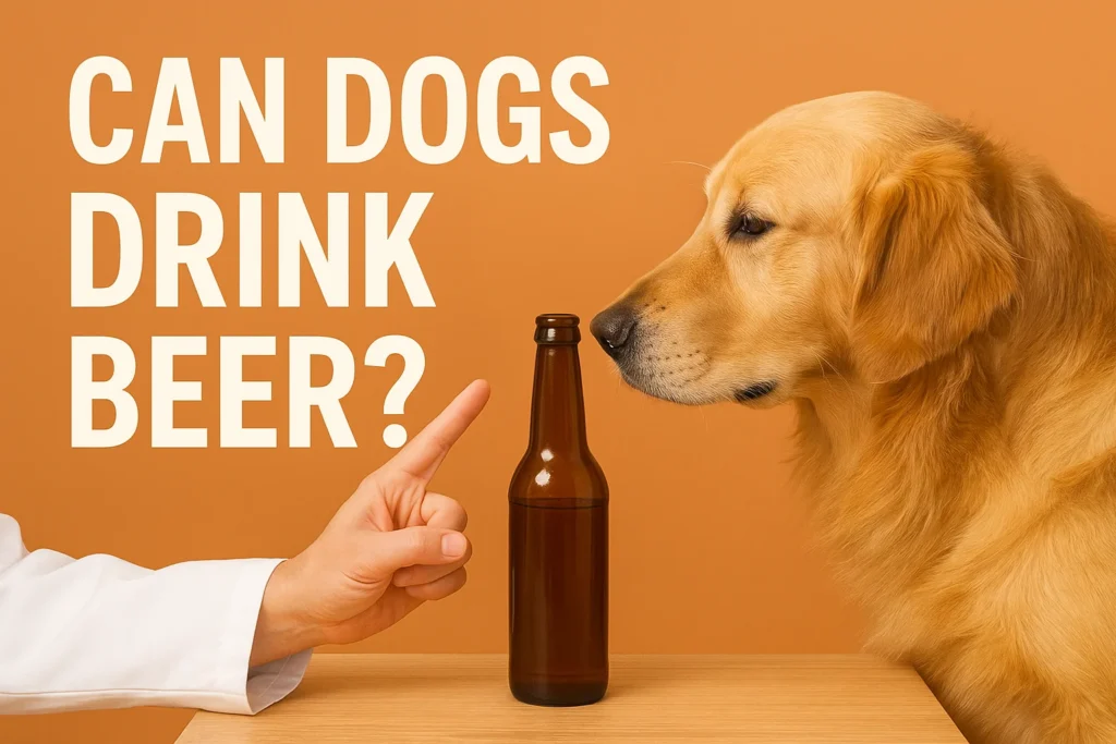 Golden retriever sniffing a beer bottle with a veterinarian’s hand pointing — concept image for “Can dogs drink beer?” blog post explaining beer toxicity in dogs.
