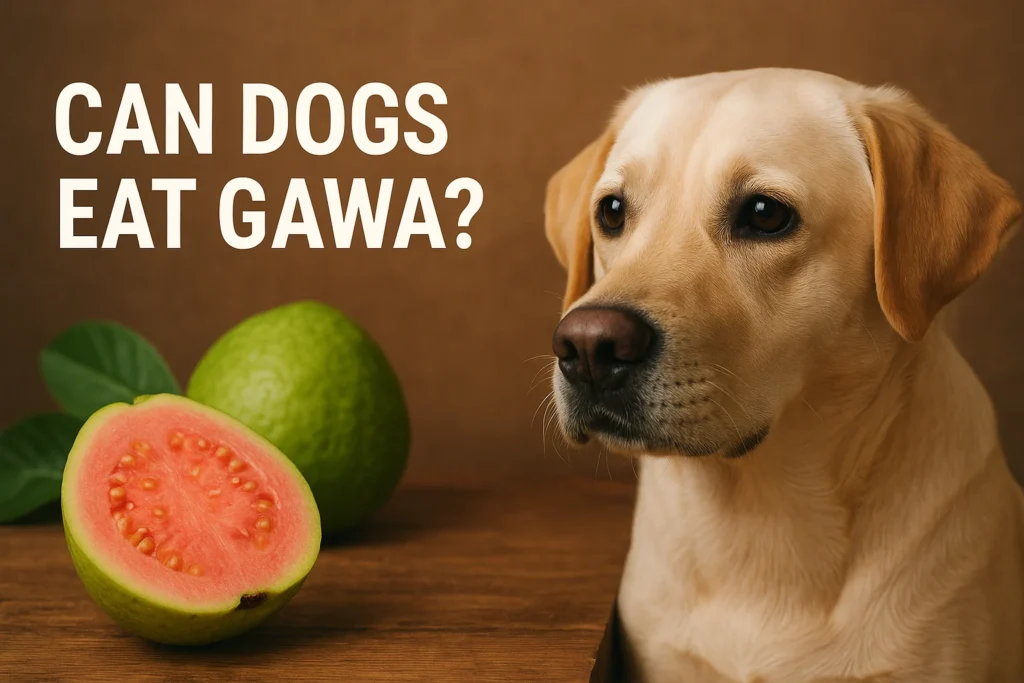 can dogs eat gawa