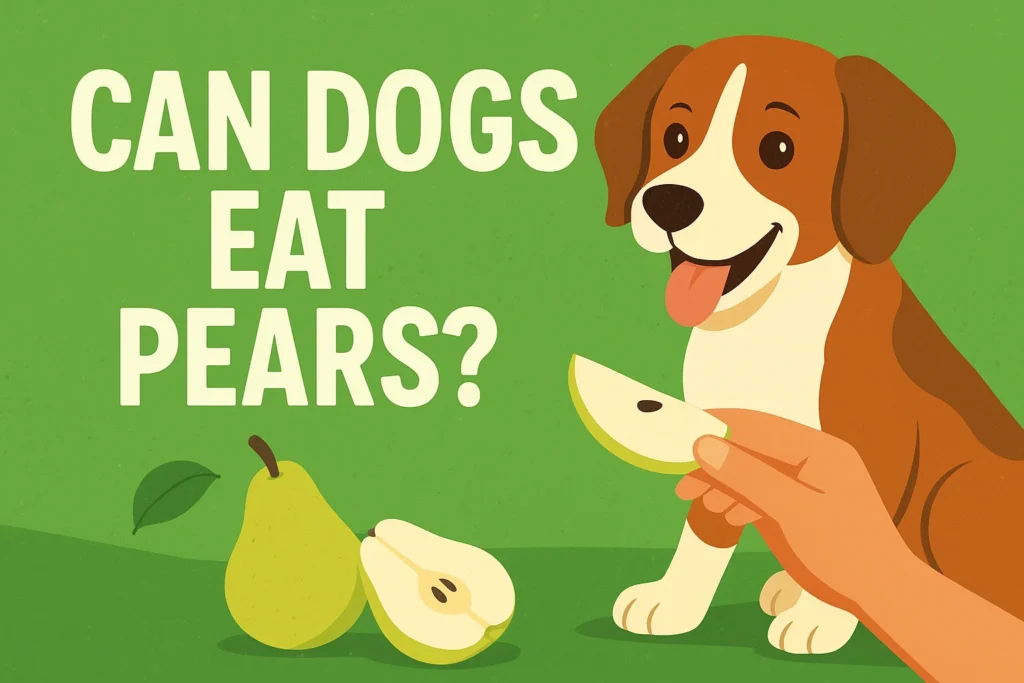 A healthy dog sitting beside sliced green pears on a table, with a bright and clean background symbolizing safe and nutritious feeding guidance.