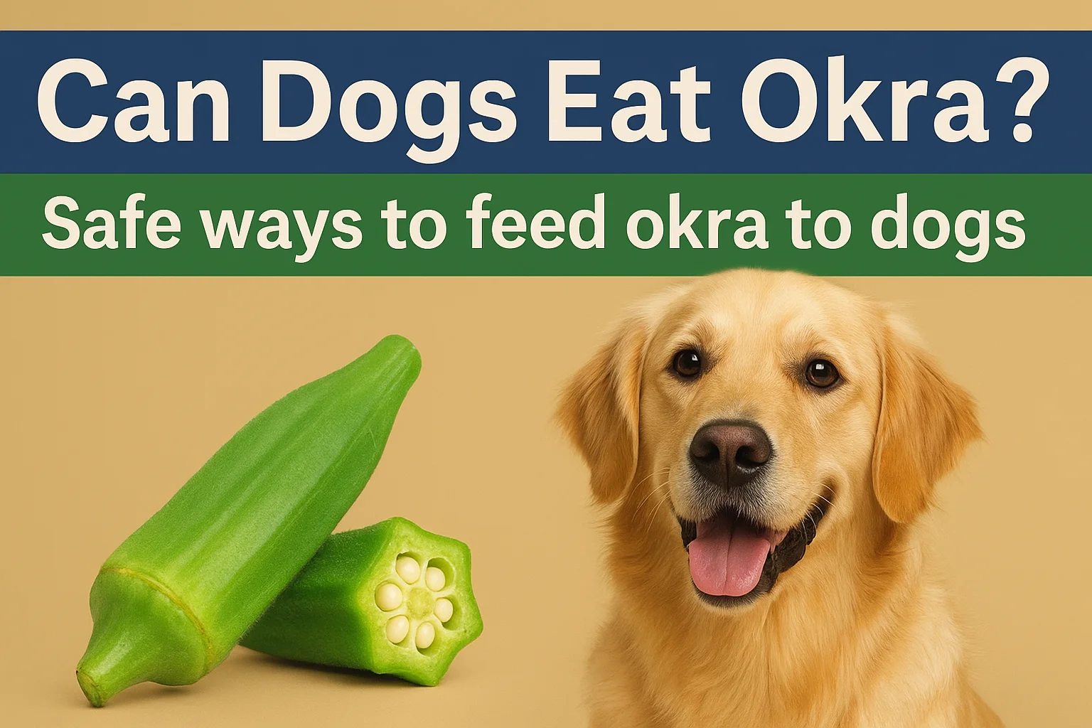 can dogs eat okra