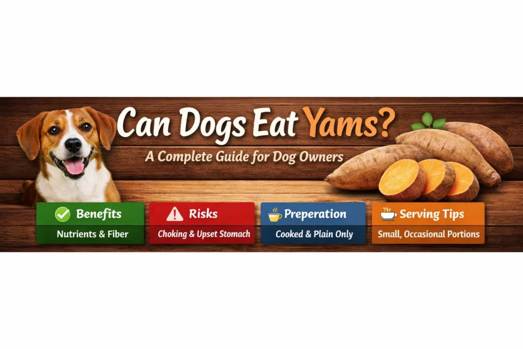 can dogs eat yams