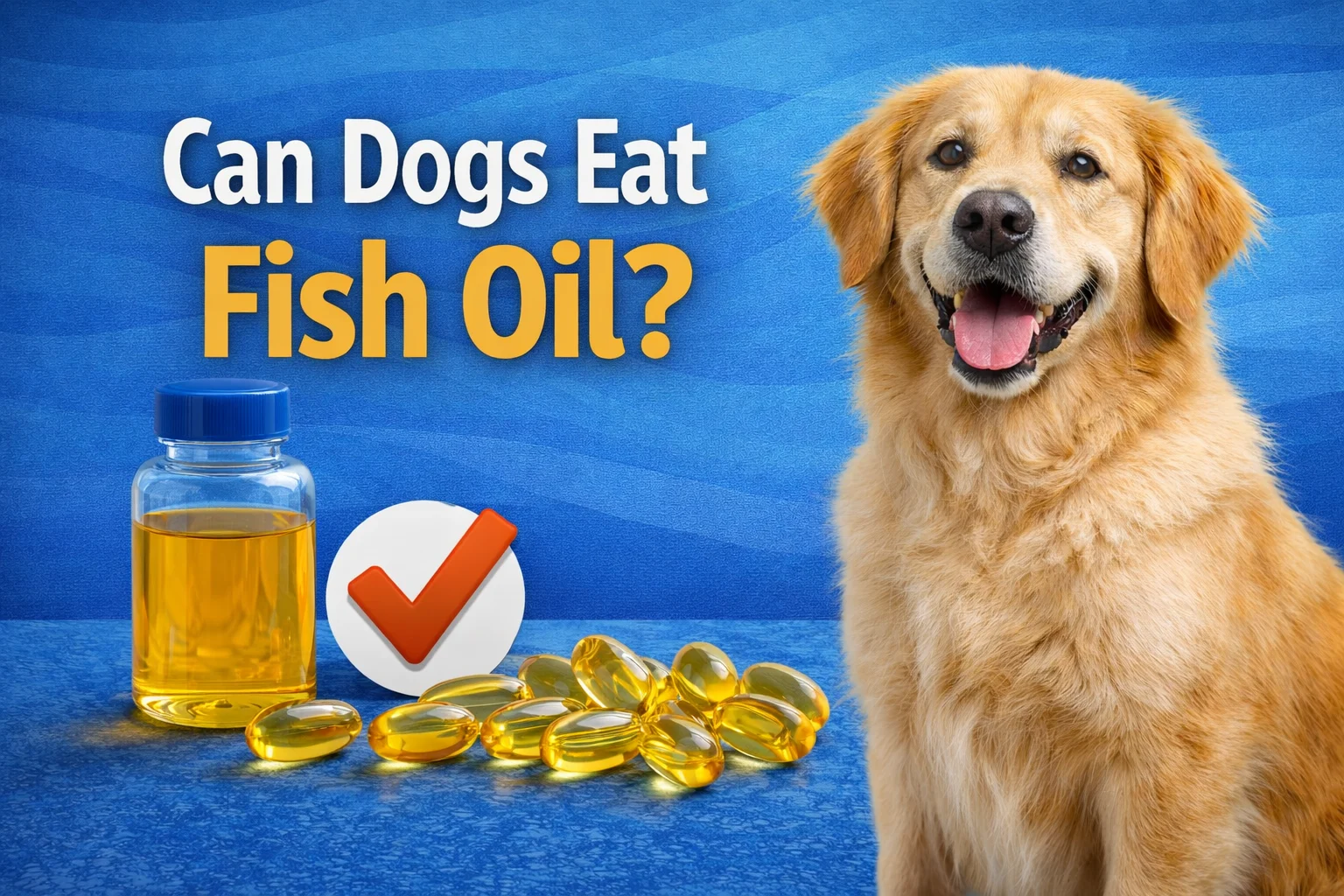 can dogs eat fish oil?