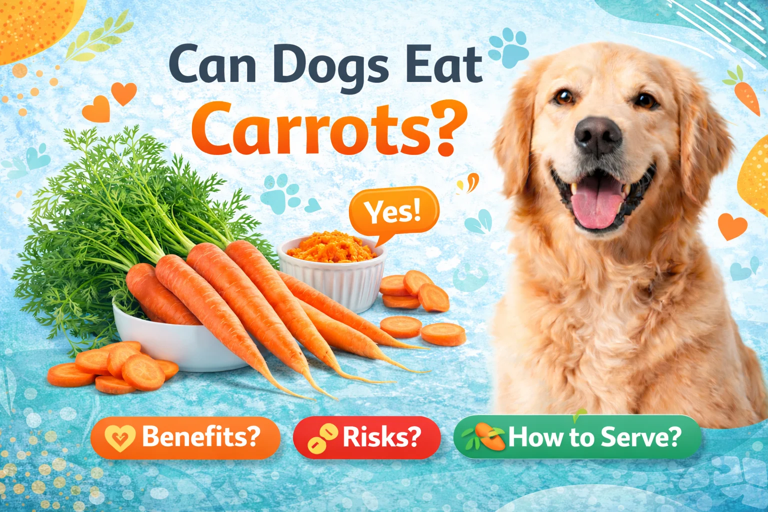 can dogs eat carrots?